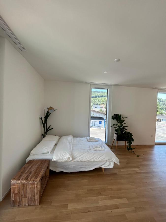 The R Apartment Passwang, Klima, Neu, Balkon, Parking Balsthal Esterno foto