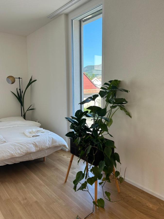 The R Apartment Passwang, Klima, Neu, Balkon, Parking Balsthal Esterno foto